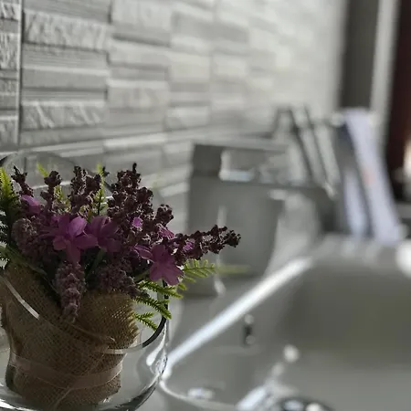 Apartment Adri